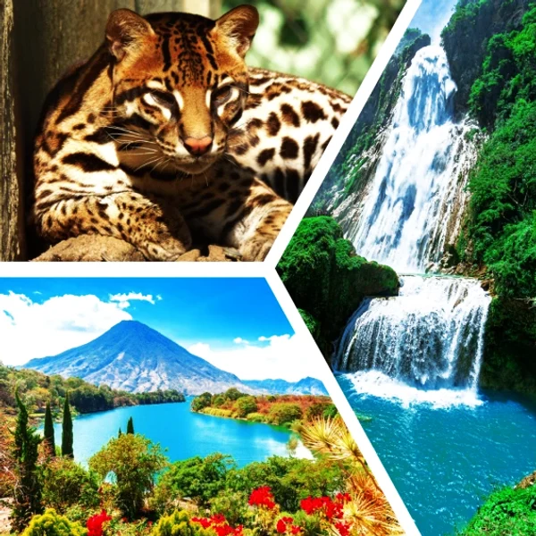 nature
